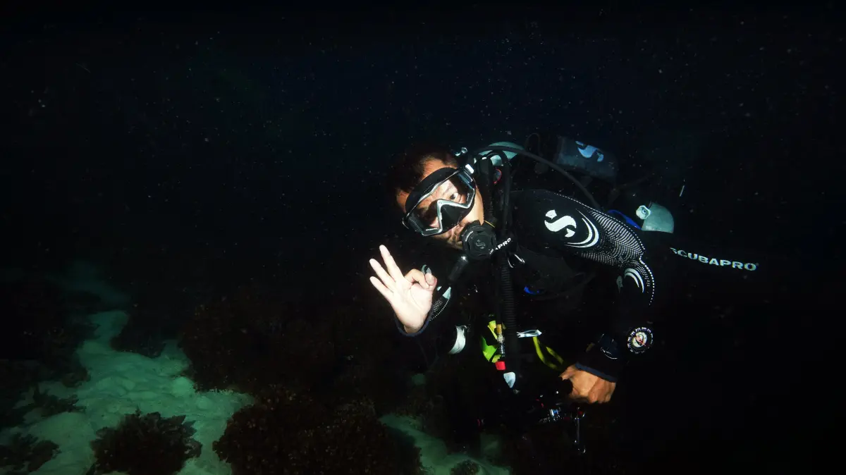 Fun Diving