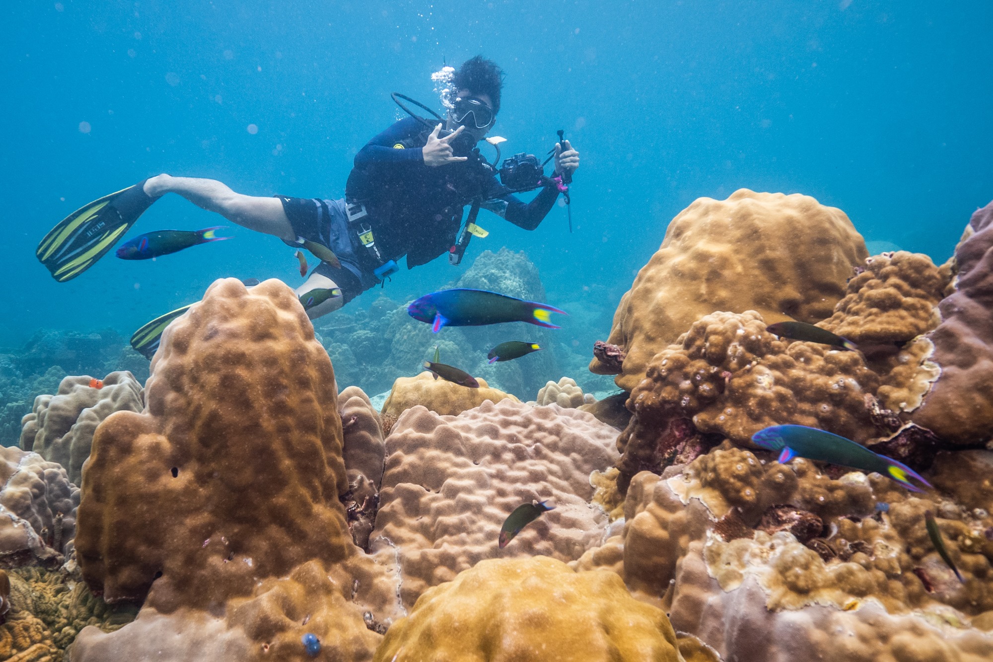 Discover Scuba Diving